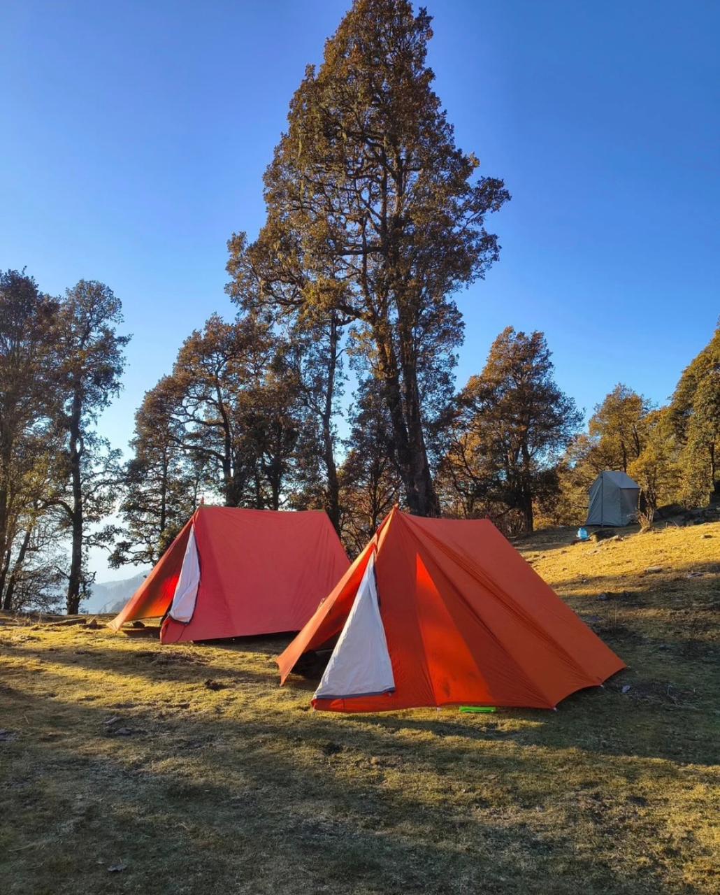 Campsite near Dayara Bugyal