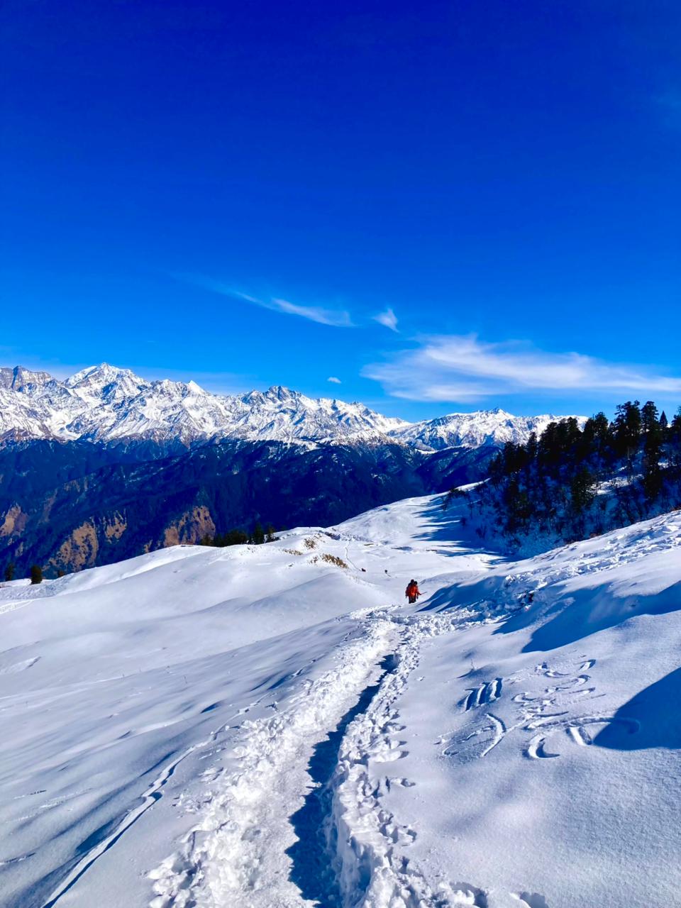 Rolling meadows and distant Himalayan peaks