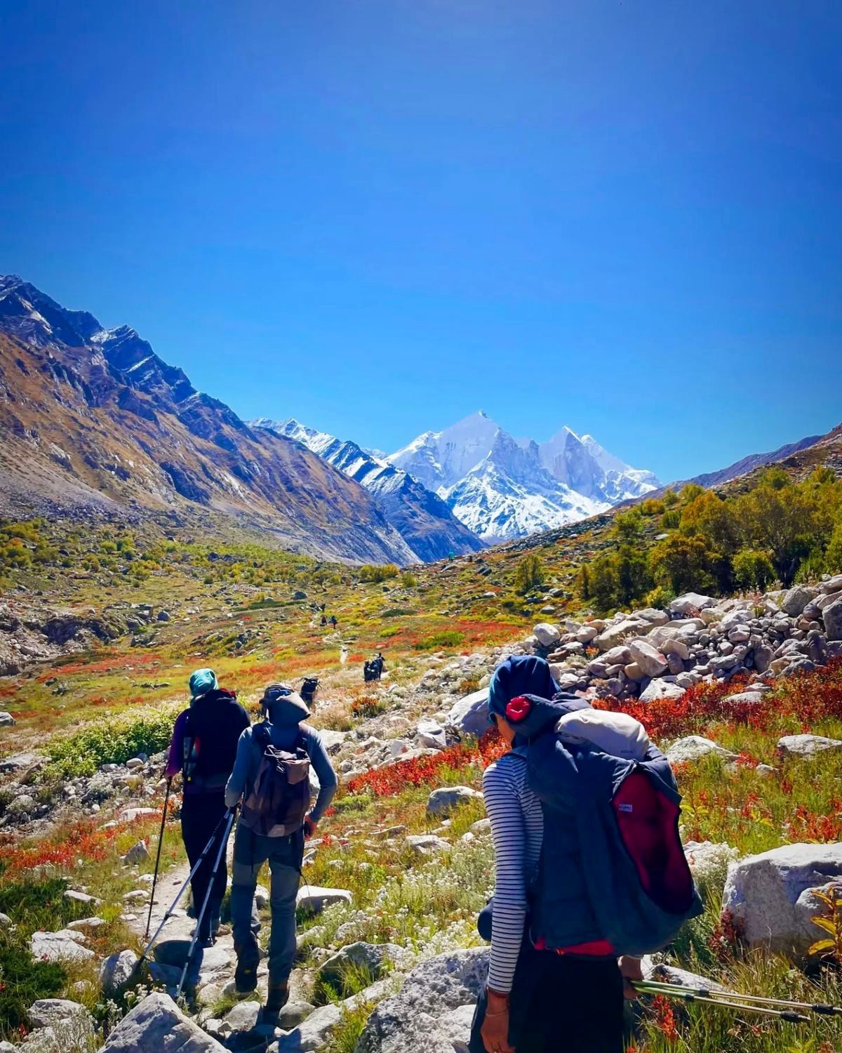 High Himalayan terrain on the Gaumukh trail