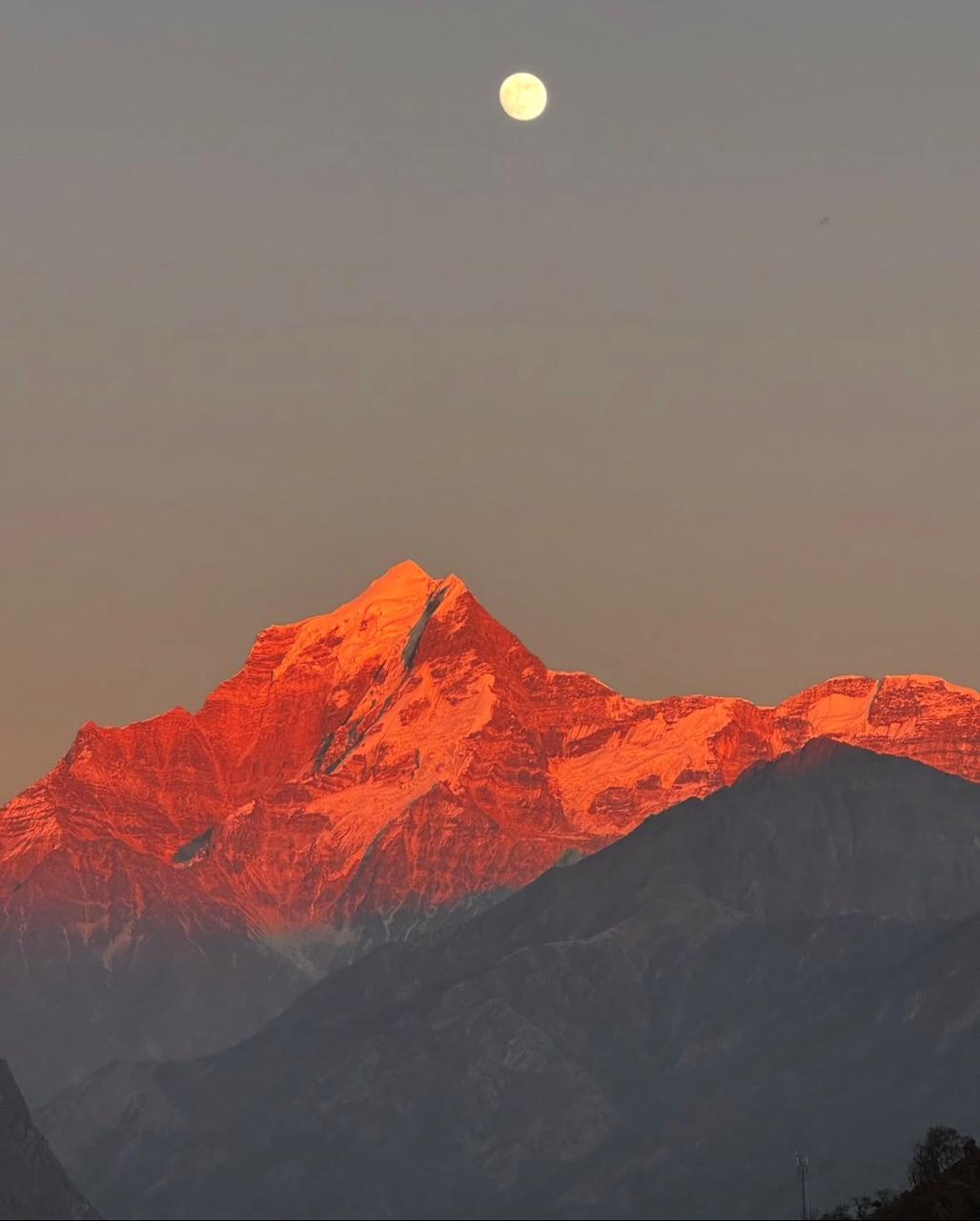 Snow-covered meadows on Kuari Pass trek